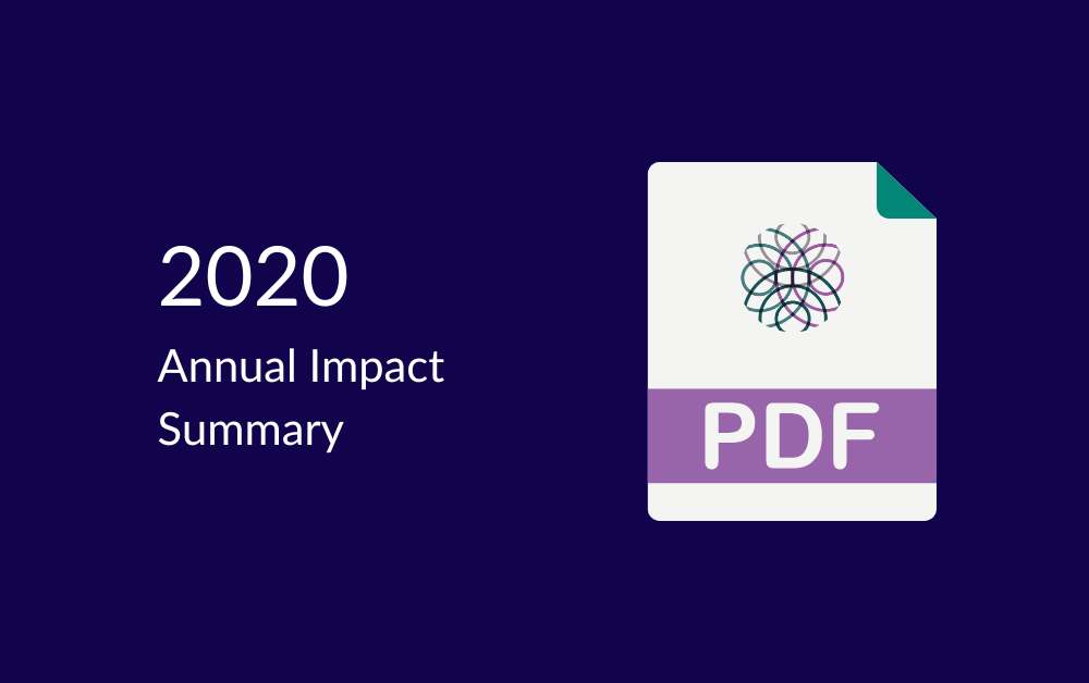 A look back at 2020 – Impact summary