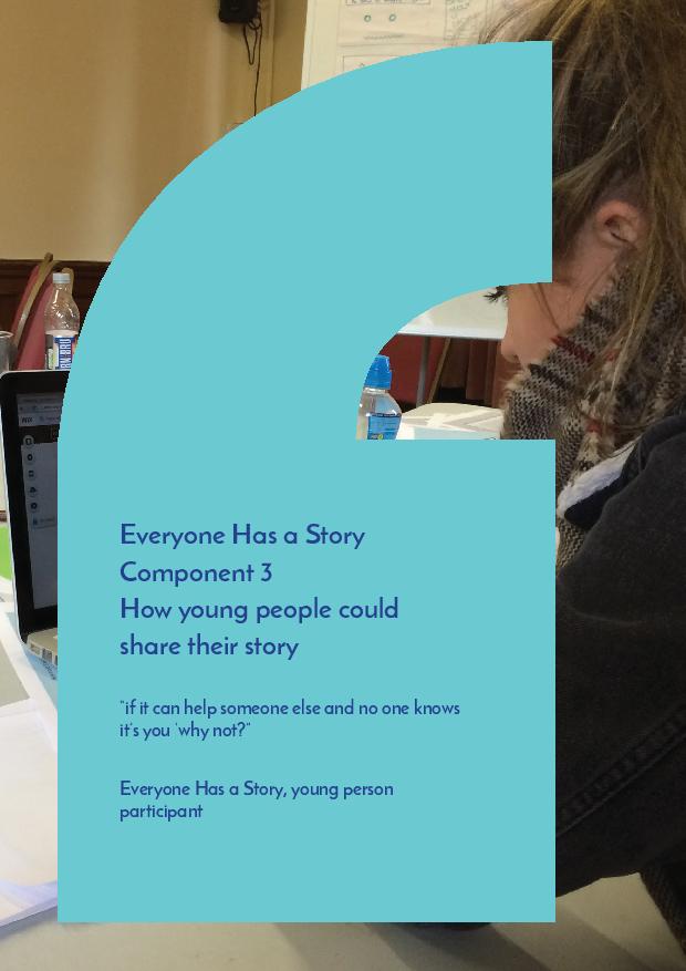 Component 2: What Practitioners tell us