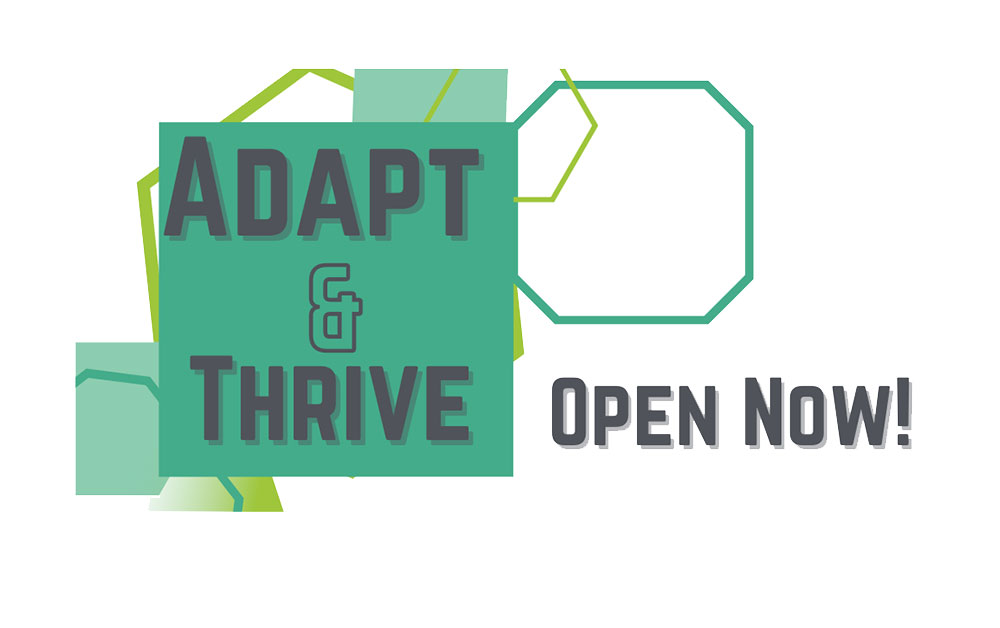 The Community and Third Sector Recovery Programme opens for applications