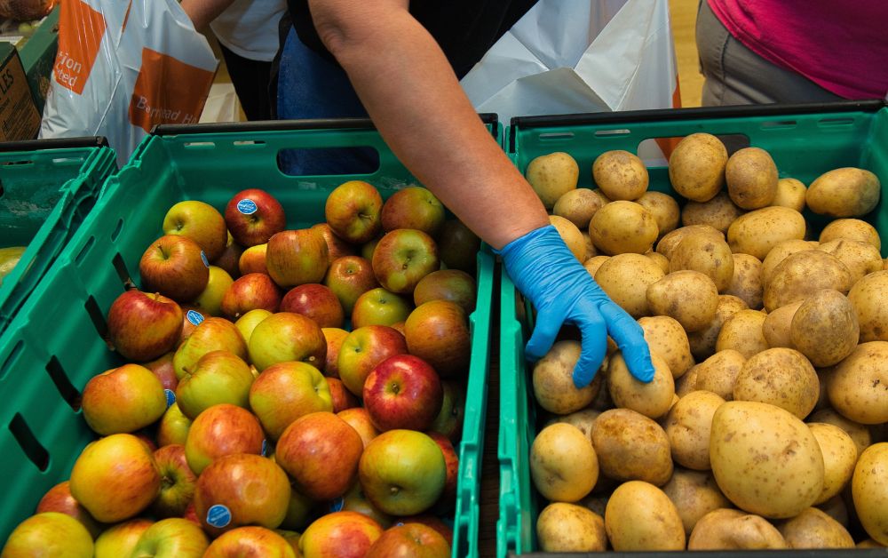 volunteers packing bags of apples and potatoes