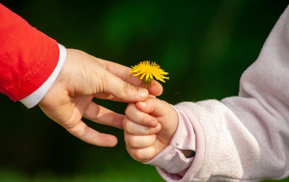 two people passing a flower between each other