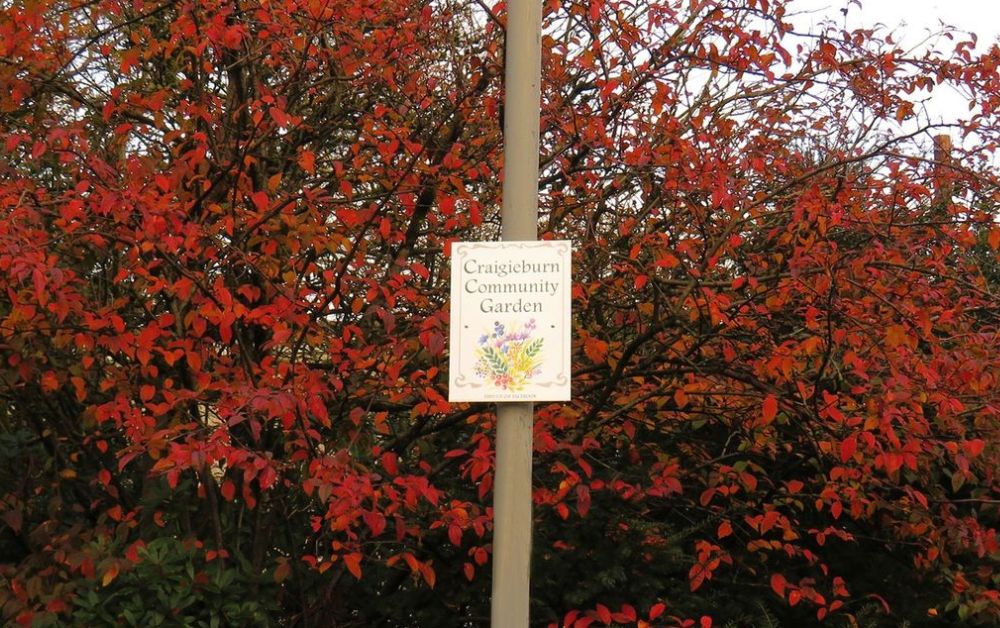 Craigieburn Community Garden