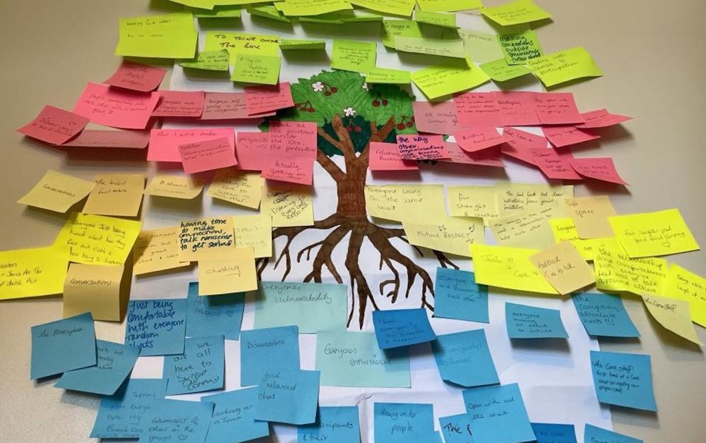 The Feedback Tree: What the collective taught us
