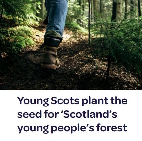Young Peoples Forest